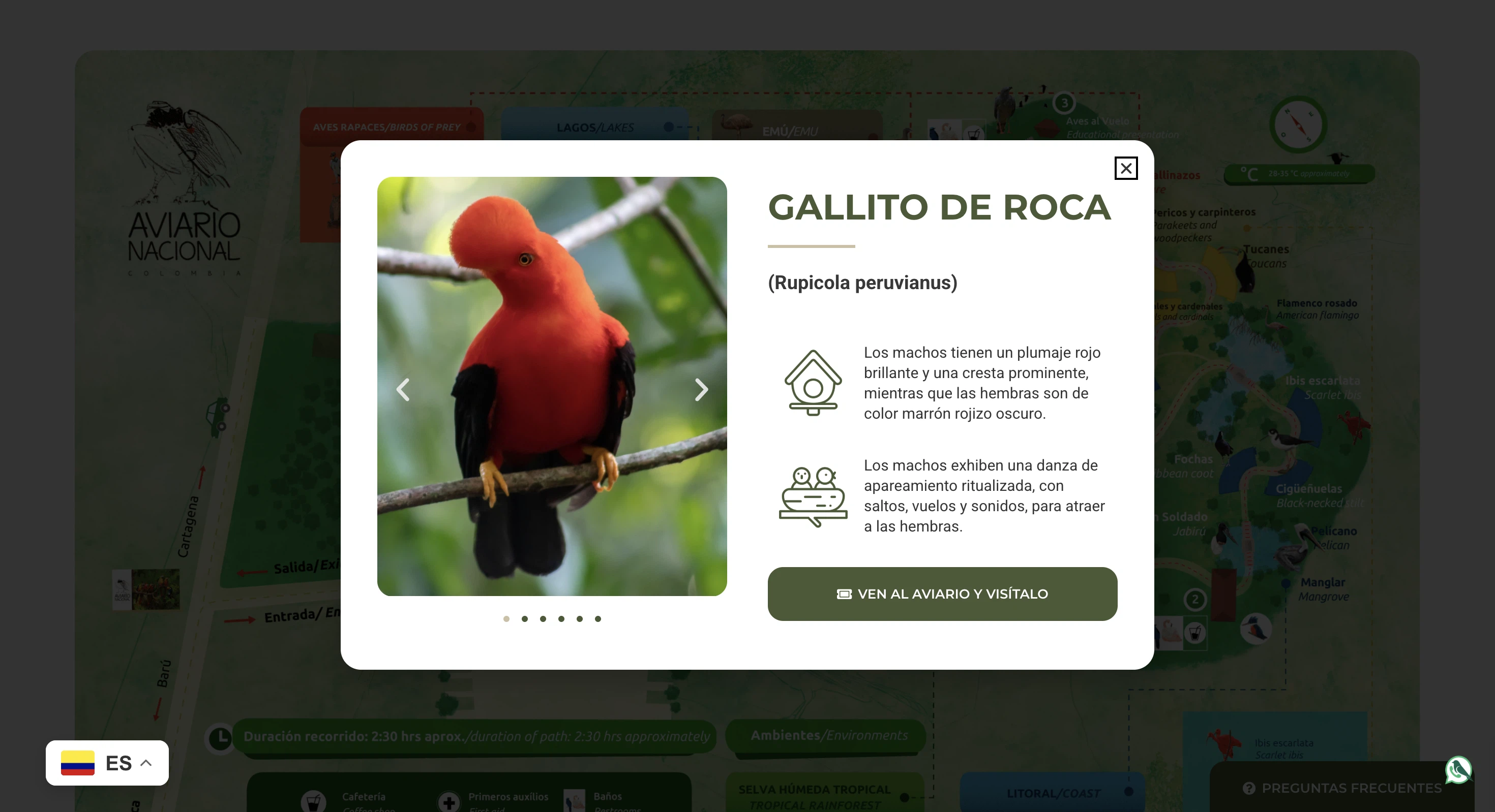 Aviario Nacional: captura de escritorio 4 de 5